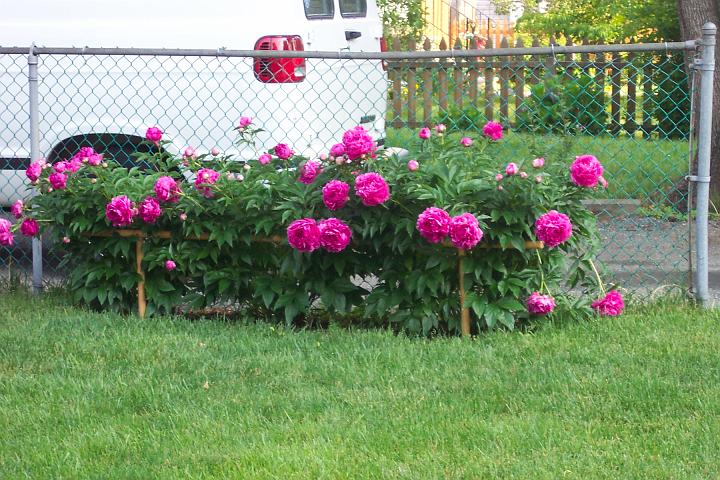 Jan-June2005 Pictures 041.jpg